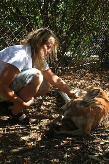 Andrea sieht ihre ersten Kangurus und erklaert sie zu ihren Lieblingstieren.