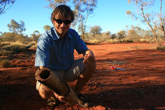 Eines Morgens gingen wir auf die Suche nach gutem Didgeridoo Holz. Sven moechte sich selbst ein solches Musikinstrument bauen. Unsere Suche war bisher erfolglos, ausser diesem kleinen Didg nichts brauchbares zu finden.
Das Didgeridoo ist ein geniales Instrument der Ureinwohner Australiens. Im Northern Territorry gibt es baumfressende Termiten, die das Innere von Baeumen aushoehlen. Die Ureinwohner suchen einen solchen Baum und schneiden sich das gewuenschte Aststueck ab, schuetteln die Termiten raus und fertig ist fast das Instrument 