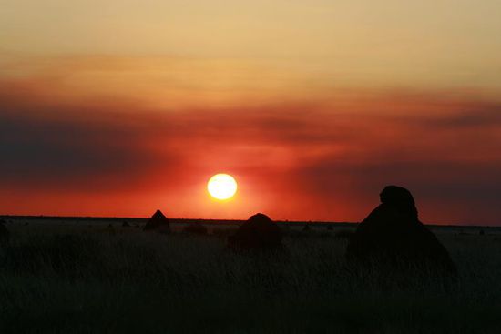 Sunset in der Wueste. Wir schliefen zwischen riesigen Termitenhuegeln