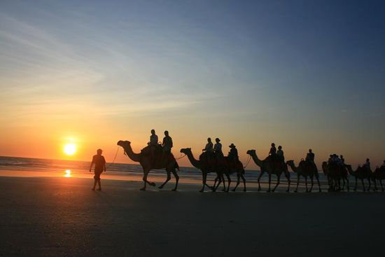 ... eine touristische Attraktion in Broome ist ein Kamelritt bei Sonnenuntergang.
