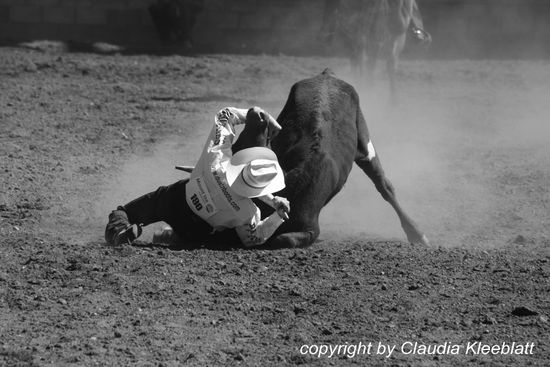 Packt das Leben bei den Hörnern