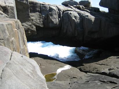The Nature Bridge