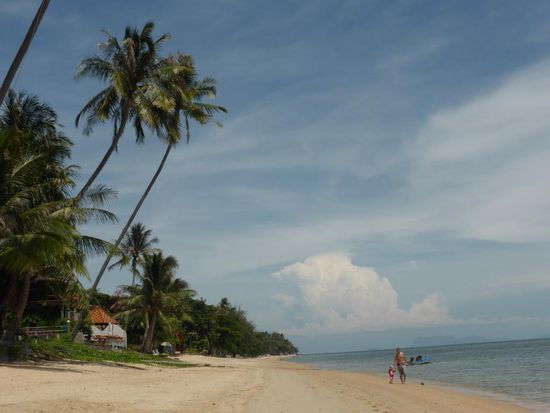 Minifleck mit Papa beim Muschelnsammeln