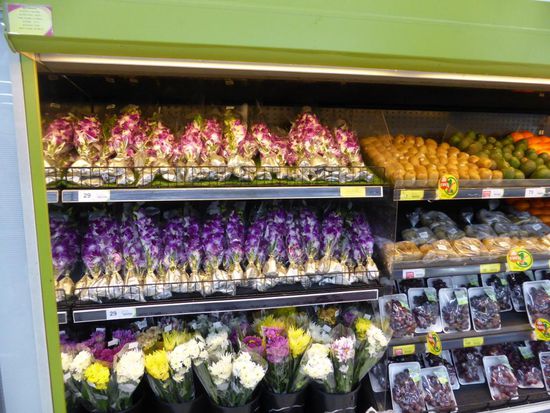 Orchideen... im Kühlregal neben dem Obst und Gemüse im Supermarkt!
Ist es nicht ein Traum? Ein Bund für umgerechnet knapp 0,65€