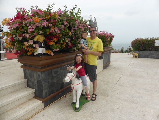 Juhuuu, ein Pferd zum Draufsetzen