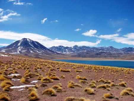 Die Altiplano Lagune Miscanti vor dem gleichnamigen Vulkan.
