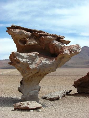 Wasser und Wind haben aus dem Sediment eines ehemaligen Meeres den "Stonetree" geschaffen.