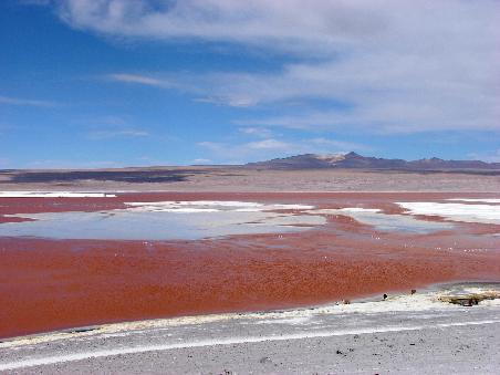 Kuferhaltige Mineralien geben dem Wasser der Laguna Colorada ihre tiefrote Farbe.