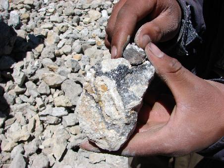 Deutlich sind die mineralischen Einschlusse im Gesteinsbrocken - zumindest bei Tageslicht - zu erkennen.