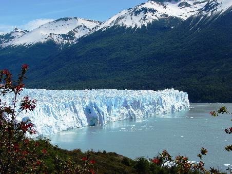 Sein Ende findet Perito Moreno im Lago Argentino, hier die Nordseite.