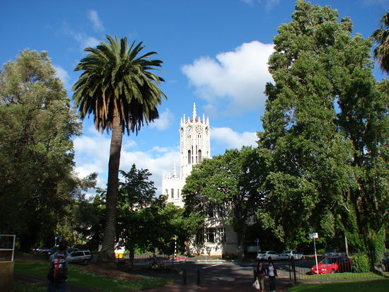 Die schattenspendenden Baeume der Parks laden zum Verweilen ein.