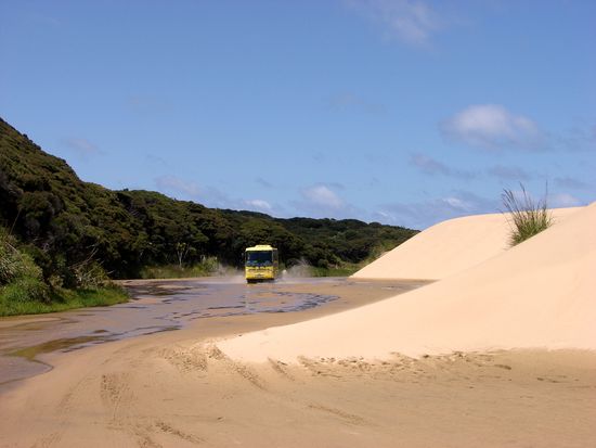 Duenenlandschaft am noerdlichen Ende des "Ninty Mile Beach".