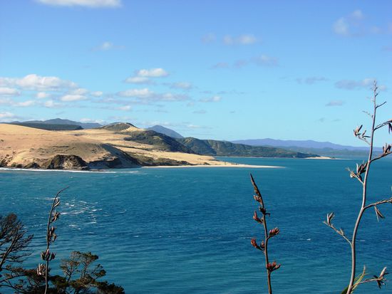 Bei Opononi reichen die Duenen bis in die fjordaehnliche Bucht.