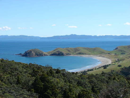 Der Coromandel Walkway fuehrt an zahlreichen Traumbuchten vorbei.