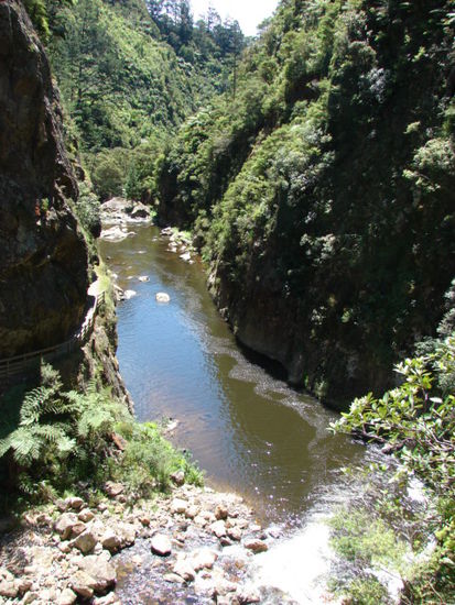Blick in die Karangahake Gorge: in die linke Felswand wurde der Wanderweg hineingeschlagen.
