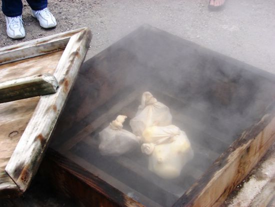Dampfgaren in Rotorua.