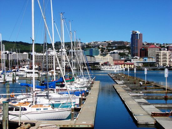 Eine der zahlreichen Marinas Wellingtons liegt unmittelbar vor der City.