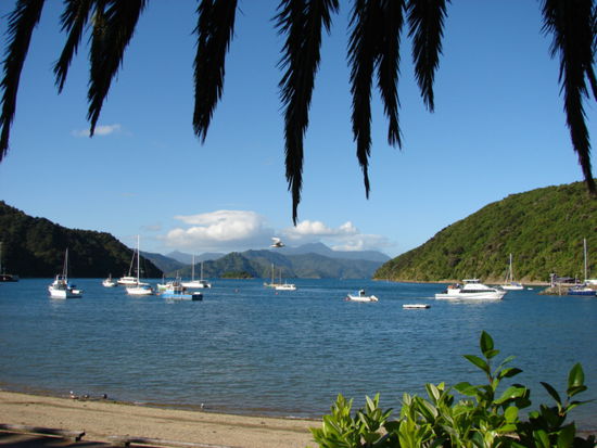 Blick von Picton in den Queen Charlotte Sound.
