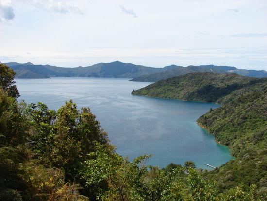 Blick vom Queen Charlotte Track auf den gleichnamigen Sound.