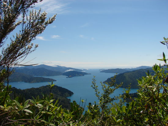 Die Verbindung zwischen Tory Channel und Queen Charlotte Sound.