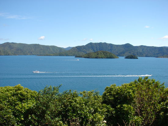 Fischen und Bootfahren zaehlen zu den Lieblingsbeschaeftigungen der Kiwis.