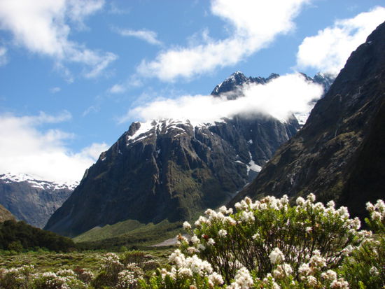 The Paradise, hinter den Bergen liegt der beruehmte Milford Sound versteckt.