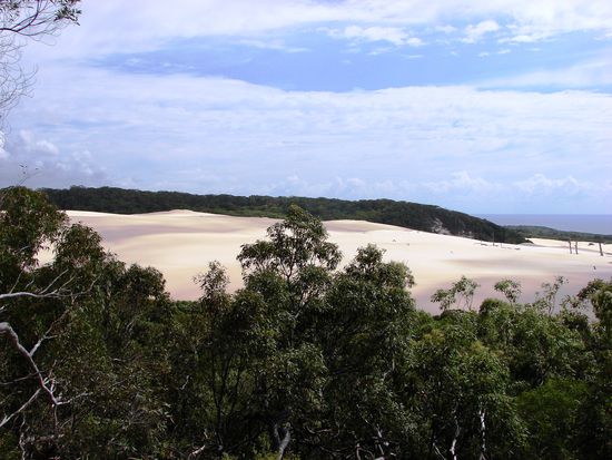 An einigen Stellen vernichteten Feuer die Vegetation und legten so den sandigen Untergrund fuer viele Jahre frei.