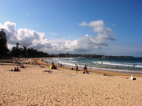 Der Surfbeach von Manley in der Nachmittagsonne.