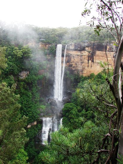 Die aufsteigenden Nebelfetzen ...