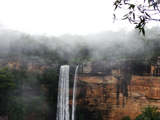 ... verleihen den Fitzroy Falls einen beinahe mystischen Charakter.
