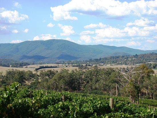 Eingebettet in Huegel, Weiden und Eukalypstusbaeumen ...