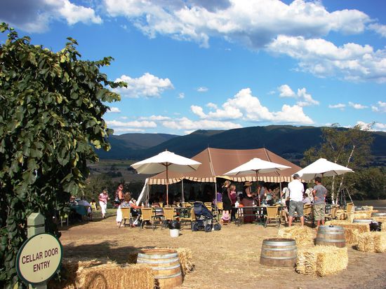 Grape Gazing auf der Riverstone Estate.