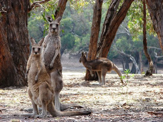 "Nanu, wer bist denn du?"