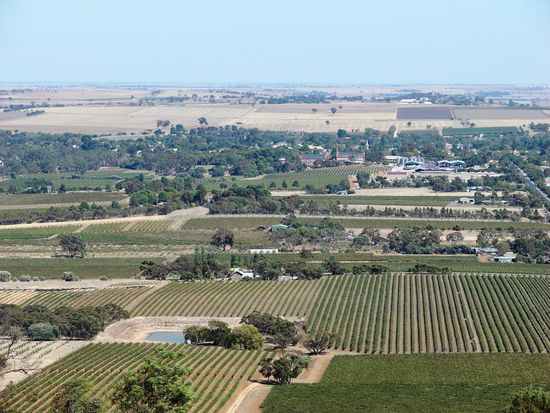 Zwischen den Weingaerten wurden Wasserbecken angelegt um im trockenen Barossa Valley mit Bewaesserung, meist nur nach der Auspflanzung, arbeiten zu koennen.