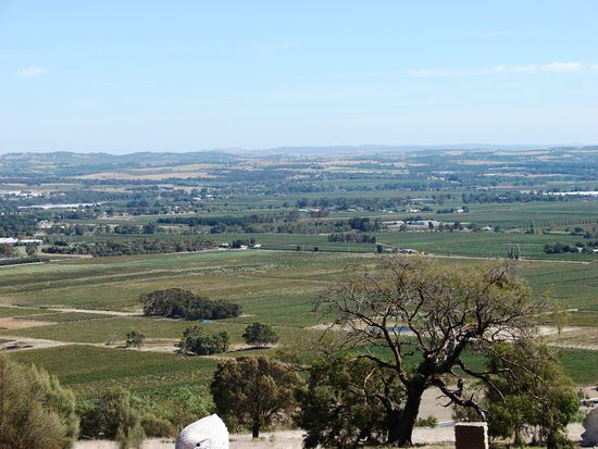 Blick ueber das Barossa nach NW.