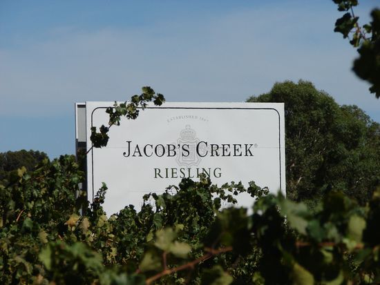 Obwohl die hiesige Bevoelkerung den Riesling liebt, hat er fuer uns gegen den Wachauer keine Chance!