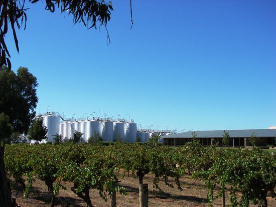 Ein kleiner Teil der Tanks von Wolf Blass, daneben das dazugehoerige Seminarhotel.