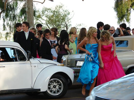 ... denen die SchuelerInnen fuer den Fototermin entstiegen. Links ein ca. 8 m langer Kaefer.