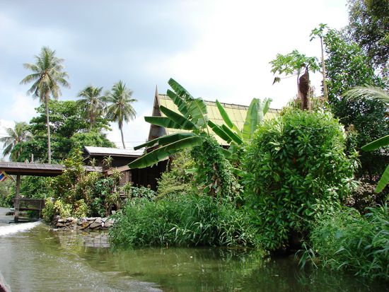 Beinahe unberuehrte Natur am Klongufer.