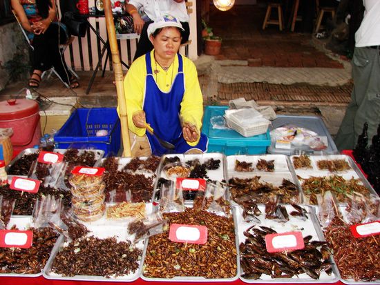Grashuepfer, Seidenraupen und aehnliches Getier statt Pommes und Chips!