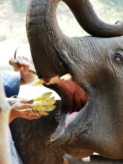 Belohnung nach getaner Arbeit!