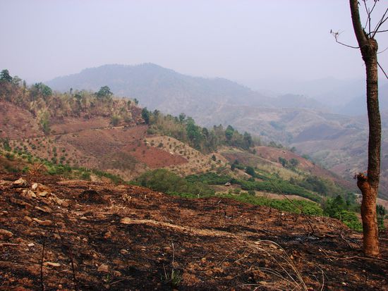 Das Abbrennen der Felder und die Brandrodung der Bergstaemme sorgt ueber Wochen fuer truebes Wetter.