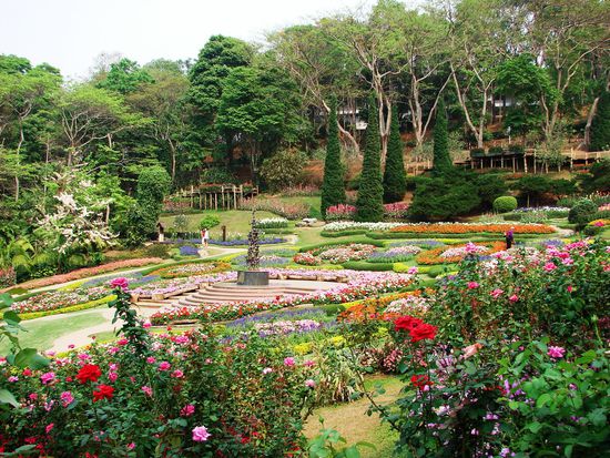 In den Bergen liess die Mutter von Koenig Bhumipol bei Doi Tung einen schoenen botanischen Garten anlegen.