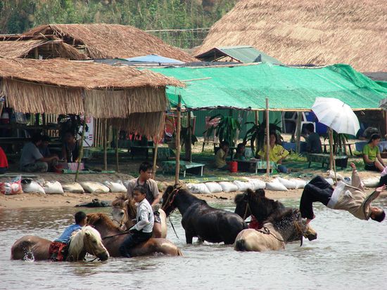 Pferde und Reiter geniessen das kuehle Bad im Me Kok Fluss in Chiang Rai.