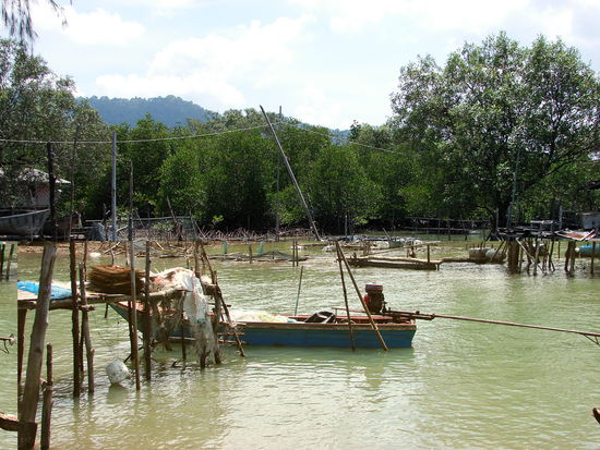 Mangroven umgeben die Fischerdoerfer im Norden der Insel.