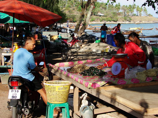 Im Vorbeifahren wird frisches Seafood eingekauft.