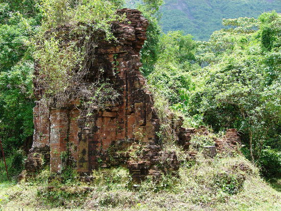 ... andere vom Regenwald ueberwuchert.
