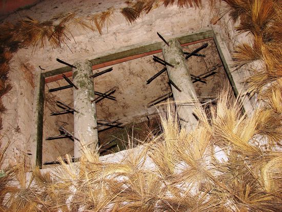 In solche und noch grausamere Fallen stuerzten Dutzende amerikanische GIs!