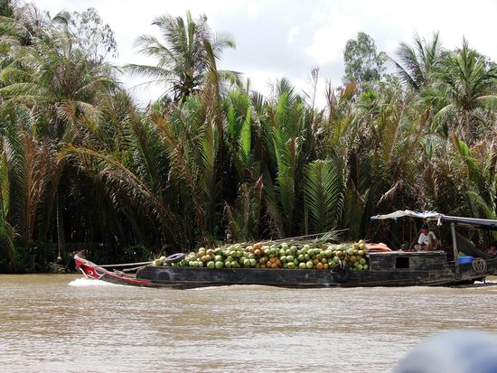 ... spaeter Kokosnuesse.