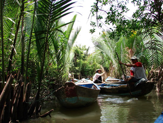 Kanaele mit im Wasser wachsenden Kokospalmen durchziehen die Ufer des Mekong.